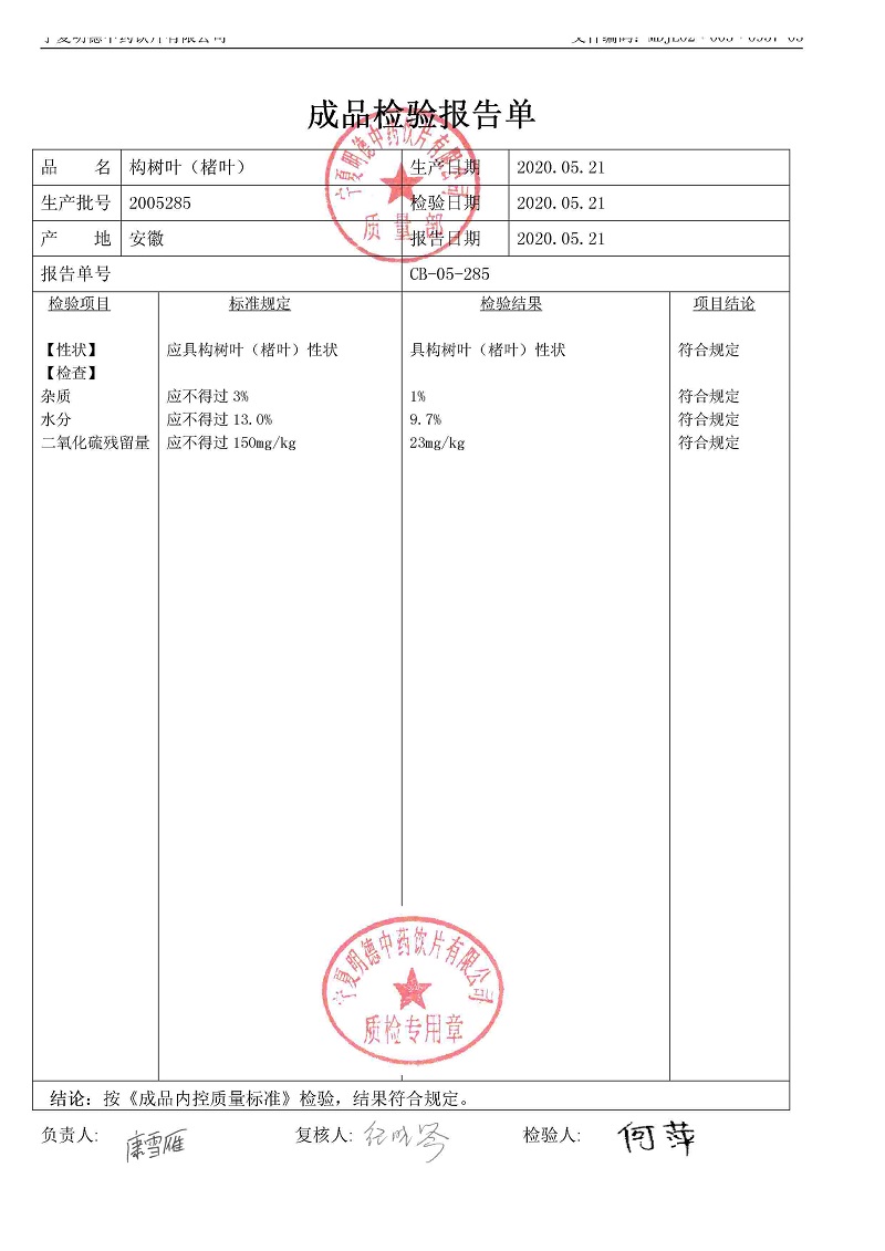 2005285構樹葉（楮葉）.jpg